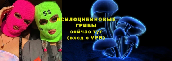 шишки Аркадак