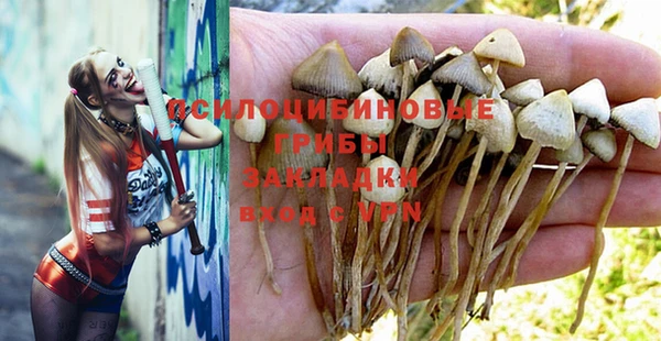 круглые Арсеньев
