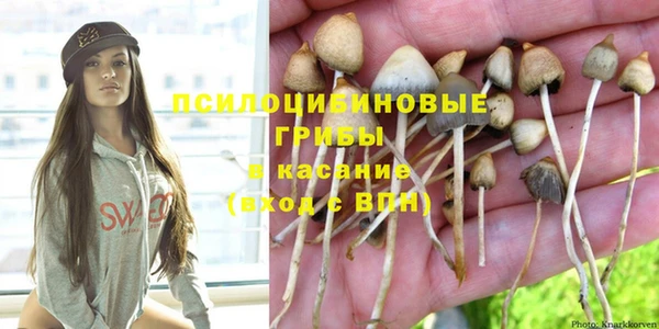 шишки Аркадак