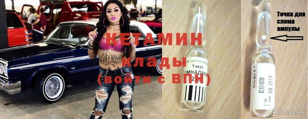 шишки Аркадак
